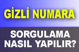 Gizliden Arayanı Bulmak
