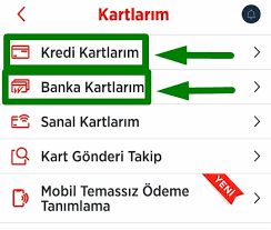 Mobil Üzerinden Alışveriş Yapma 2022