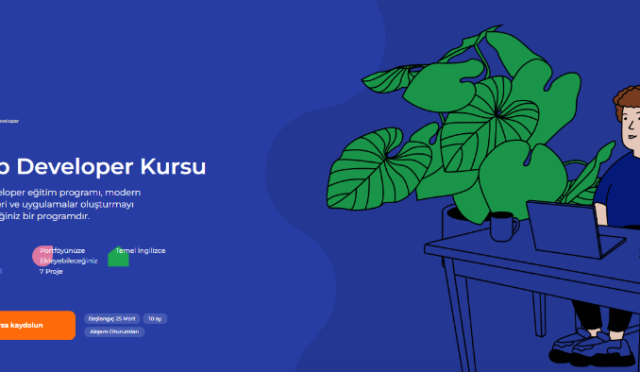 web developer kursu